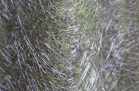 Black Street fibreglass roof work