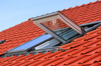 Black Street roof window